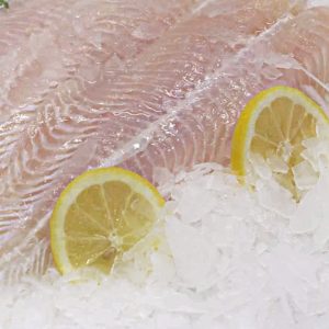 Filete de Pangasius Congelado - 1 Kg