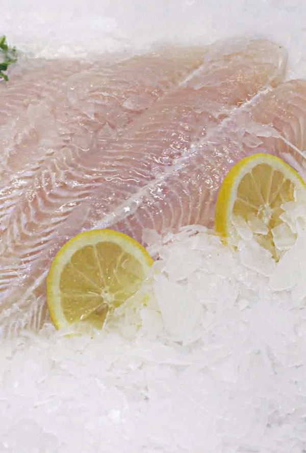 Filete de Pangasius Congelado - 1 Kg